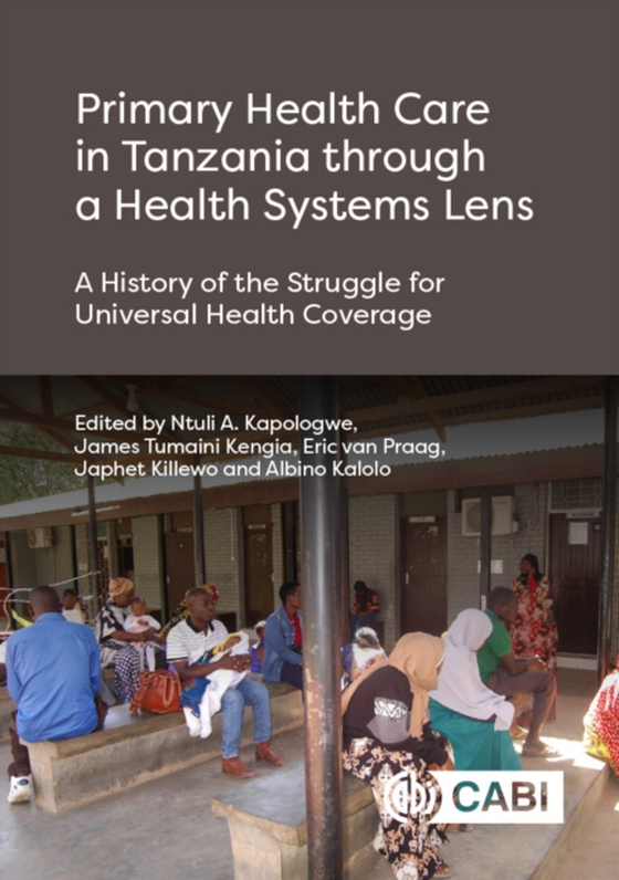 Primary Health Care in Tanzania through a Health Systems Lens (e-bog) af -