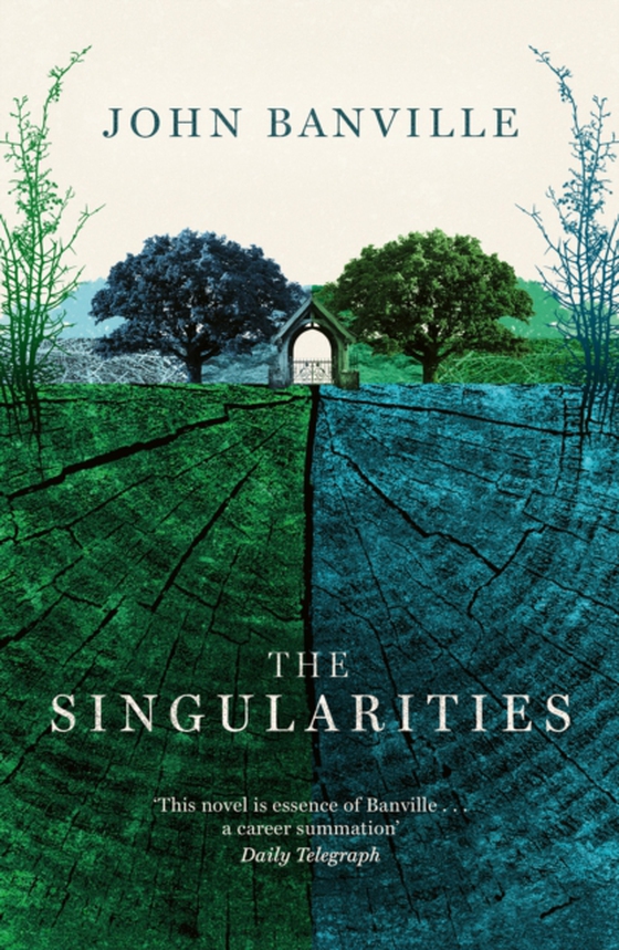 Singularities (e-bog) af Banville, John