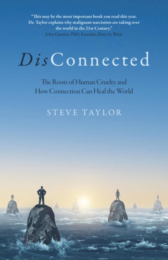 DisConnected (e-bog) af Steve Taylor PhD, author of 'The Leap' and 'Spiritual Science'
