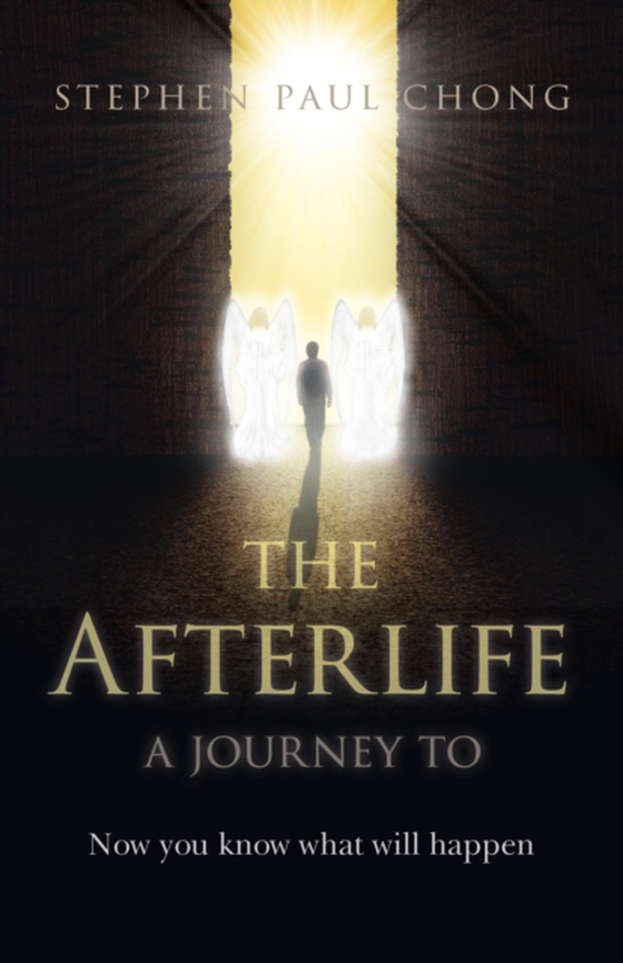 Afterlife - A Journey to (e-bog) af Chong, Stephen