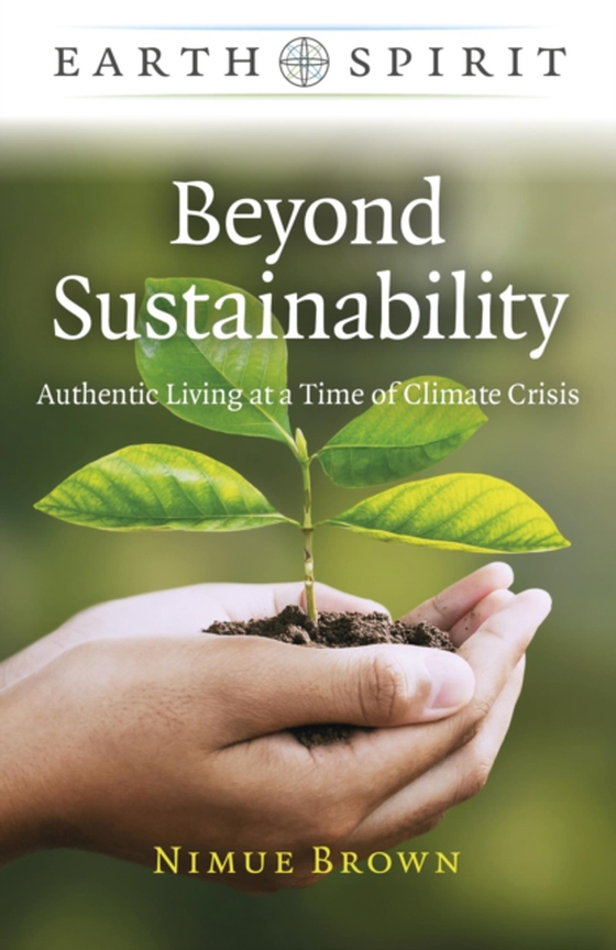 Beyond Sustainability