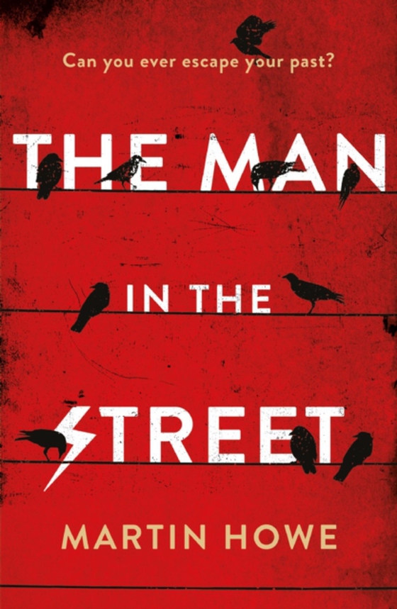 Man in the Street (e-bog) af Howe, Martin