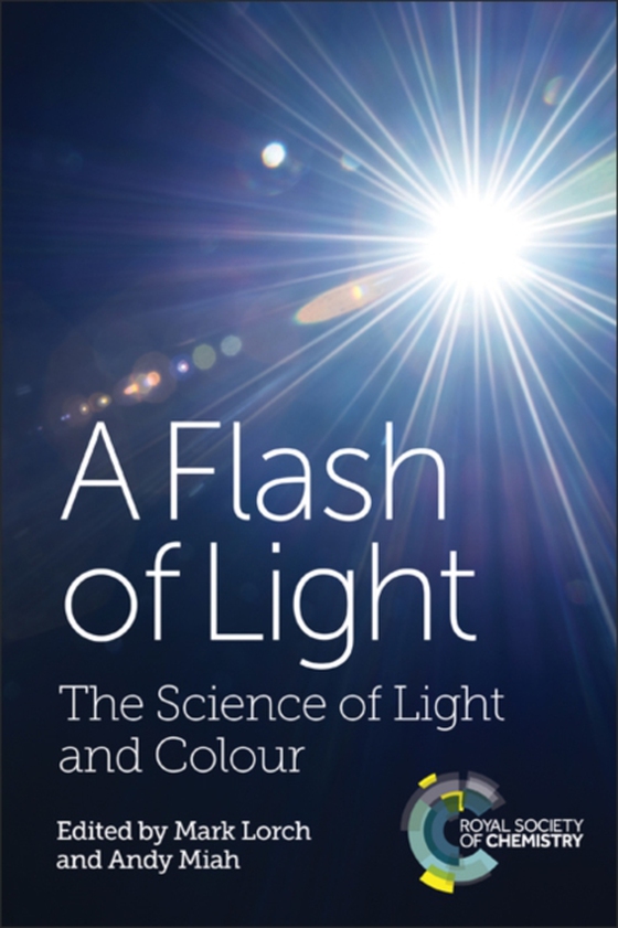 Flash of Light (e-bog) af -