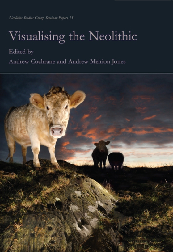 Visualising the Neolithic (e-bog) af -