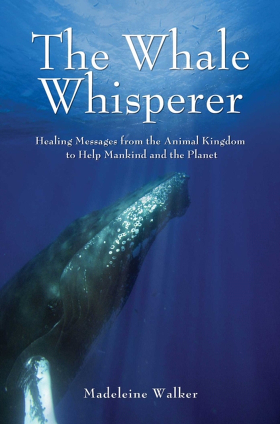 Whale Whisperer