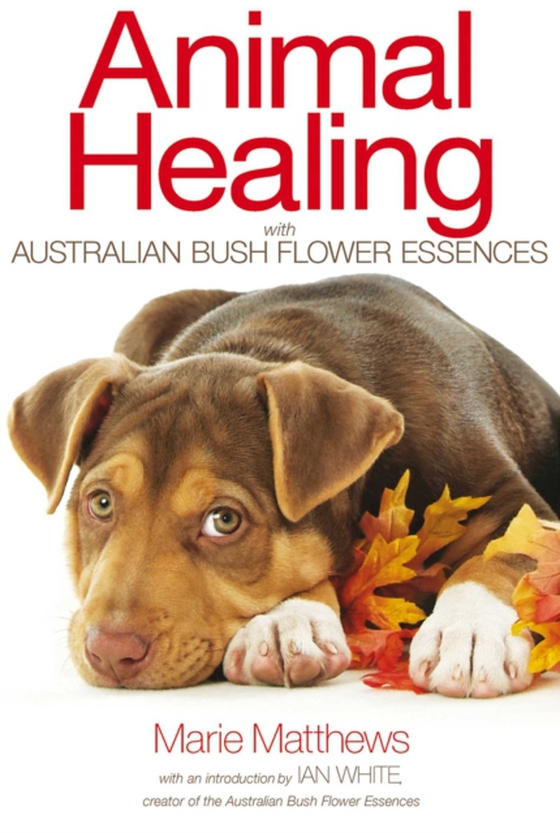 Animal Healing with Australian Bush Flower Essences (e-bog) af Matthews, Marie