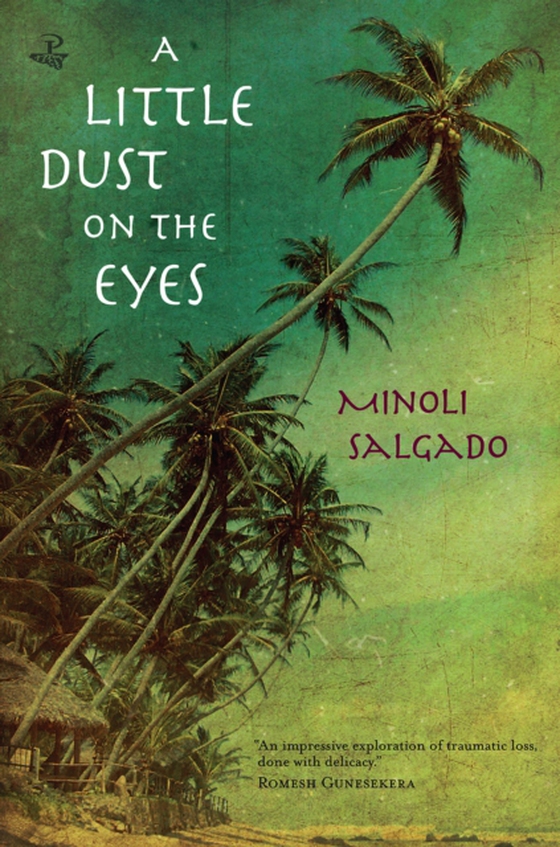 Little Dust in the Eyes (e-bog) af Salgado, Minoli