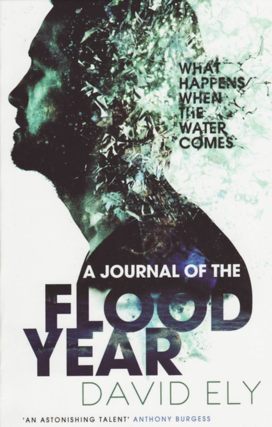 Journal Of The Flood Year (e-bog) af Ely, David