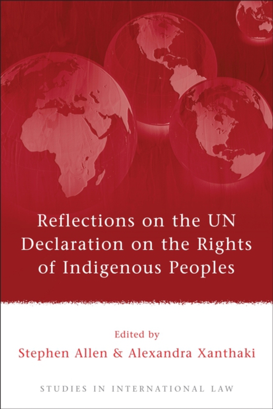 Reflections on the UN Declaration on the Rights of Indigenous Peoples (e-bog) af -