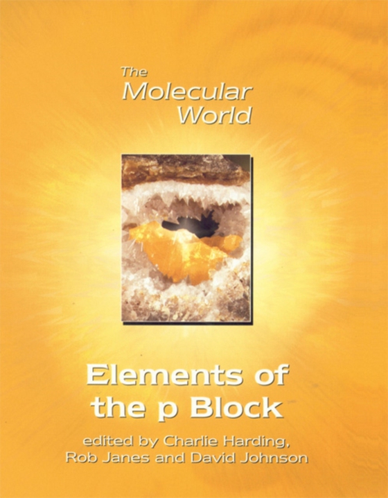 Elements of the p-Block (e-bog) af -