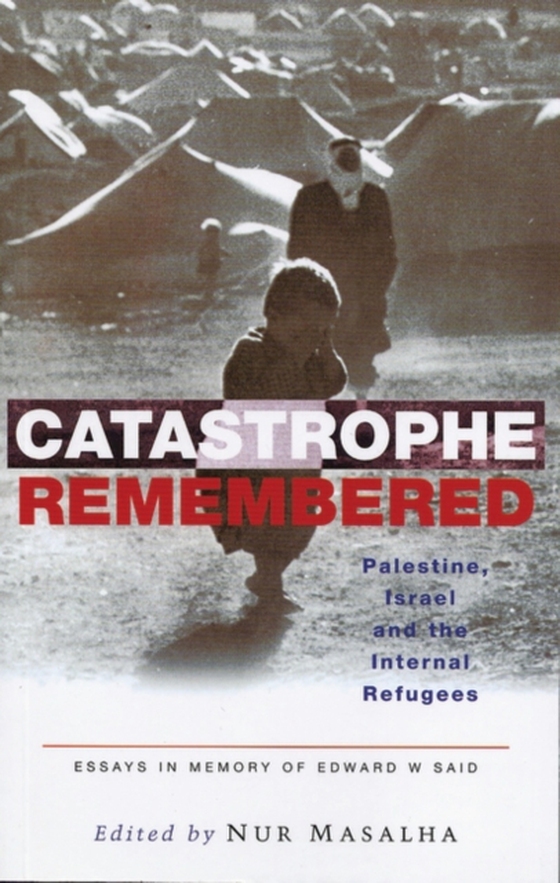 Catastrophe Remembered (e-bog) af -