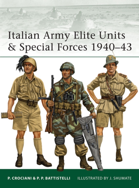 Italian Army Elite Units & Special Forces 1940 43 (e-bog) af Pier Paolo Battistelli, Battistelli