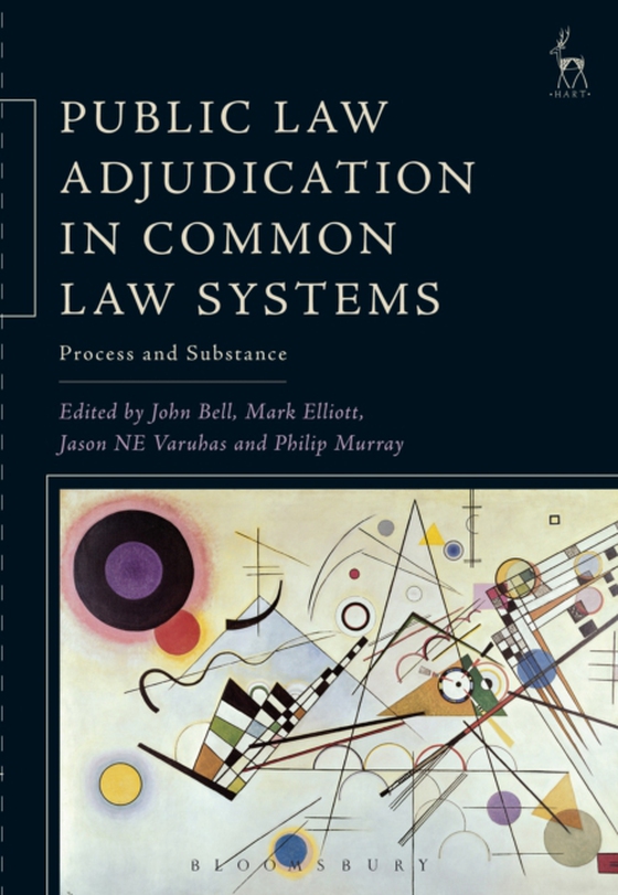 Public Law Adjudication in Common Law Systems