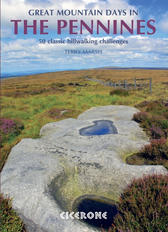 Great Mountain Days in the Pennines (e-bog) af Marsh, Terry