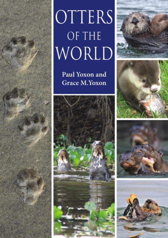 Otters of the World (e-bog) af Yoxon, Paul