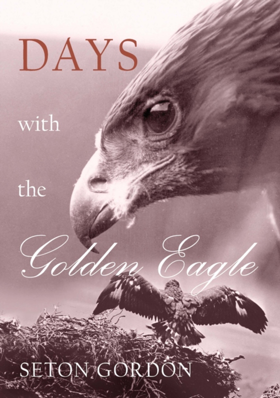 Days with the Golden Eagle (e-bog) af Crumley, Jim