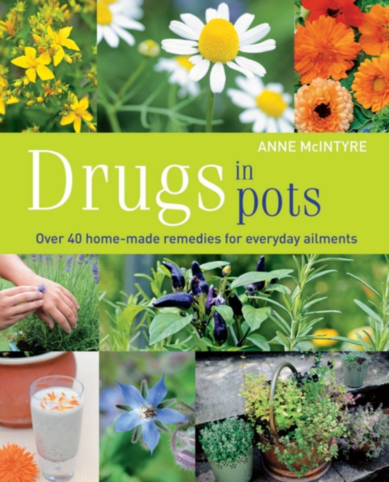 Drugs in Pots (e-bog) af McIntyre, Anne