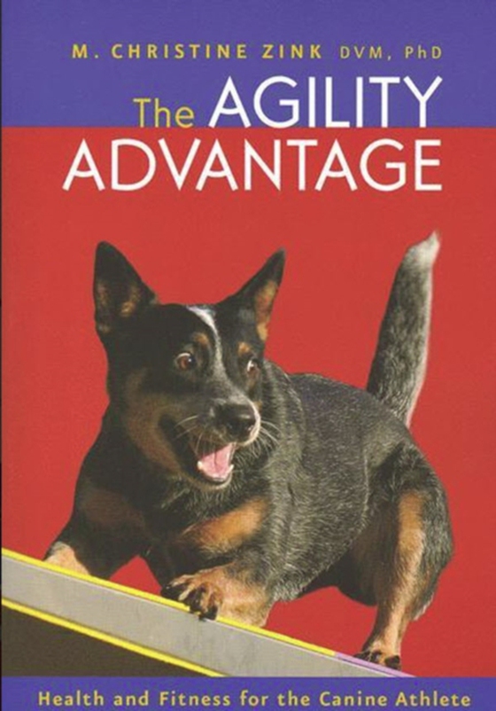 Agility Advantage