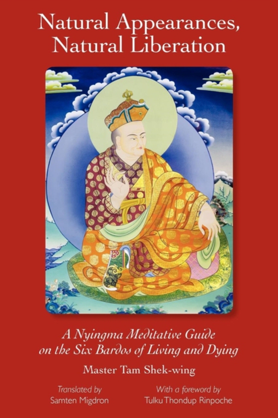 Natural Appearances, Natural Liberation (e-bog) af Tam, Master Shek-wing