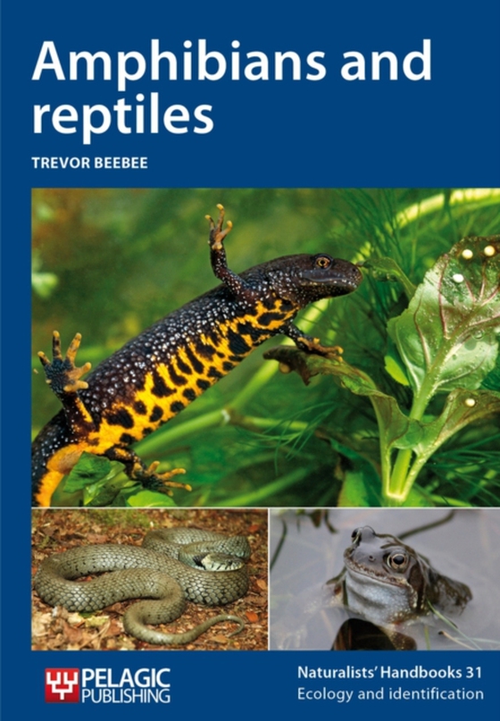 Amphibians and reptiles (e-bog) af Beebee, Trevor J. C.