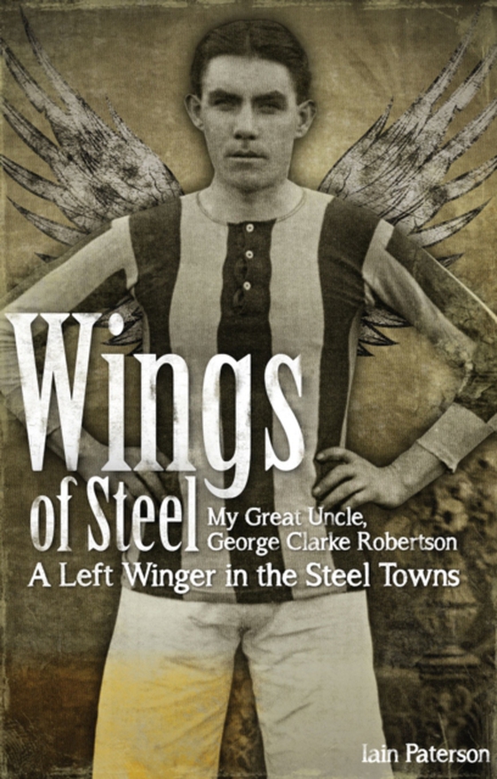 Wings of Steel (e-bog) af Paterson, Iain