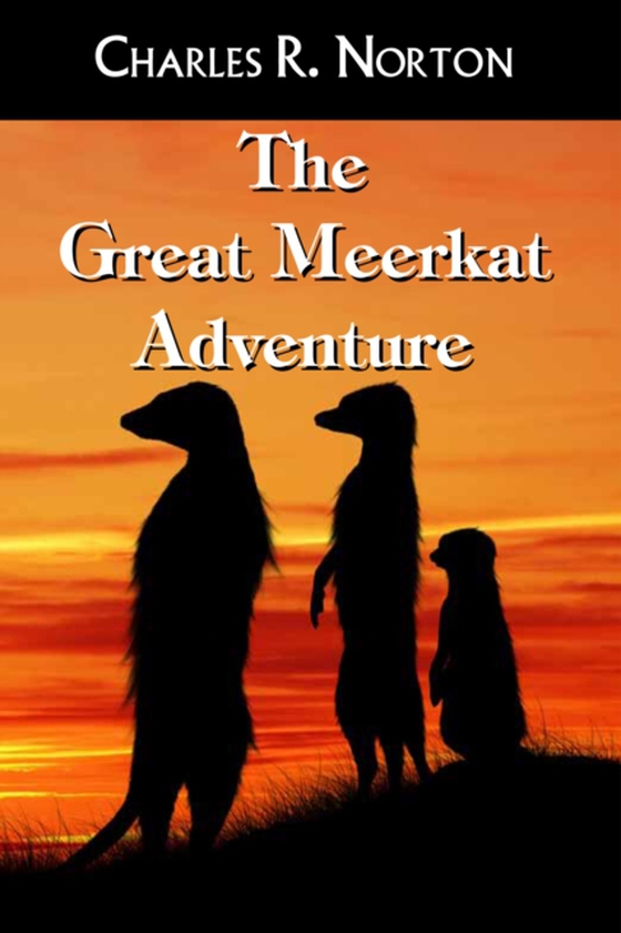 Great Meerkat Adventure