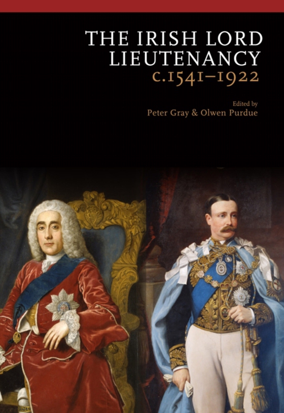 Irish Lord Lieutenancy c 1541-1922 (e-bog) af -