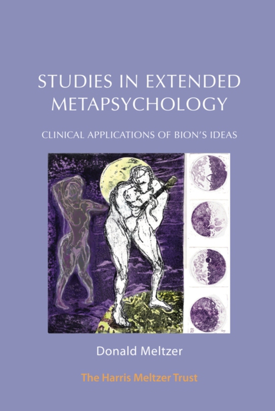 Studies in Extended Metapsychology (e-bog) af Meltzer, Donald