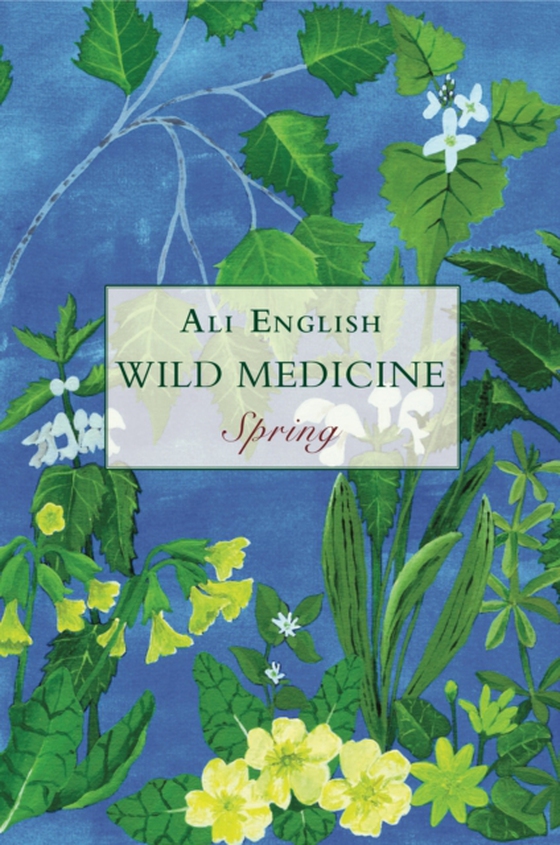 Wild Medicine, Spring (e-bog) af English, Ali