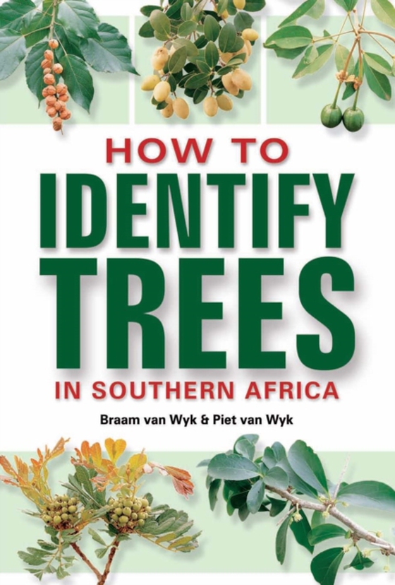 How to Identify Trees in Southern Africa