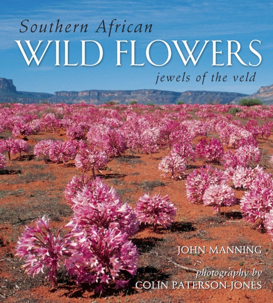 Southern African Wild Flowers - Jewels of the Veld (e-bog) af Manning, John