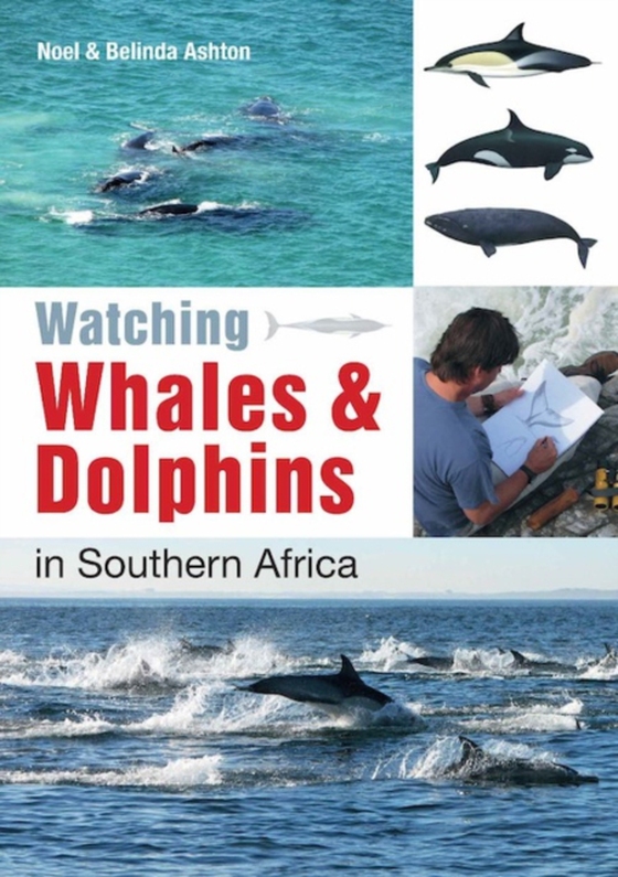 Southern African Sea Life - A Guide for Young Explorers