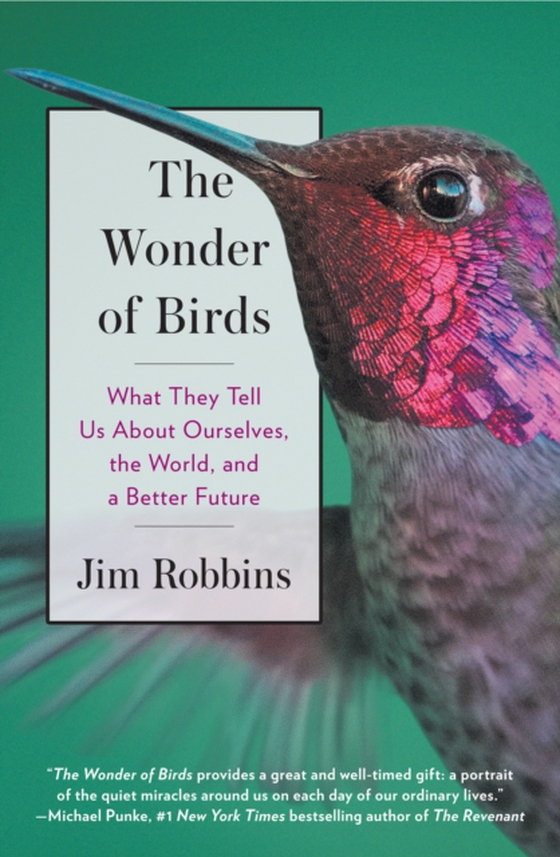 Wonder of Birds (e-bog) af Robbins, Jim