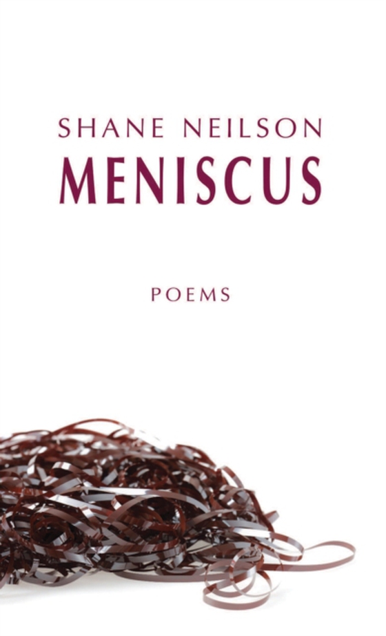 Meniscus (e-bog) af Neilson, Shane