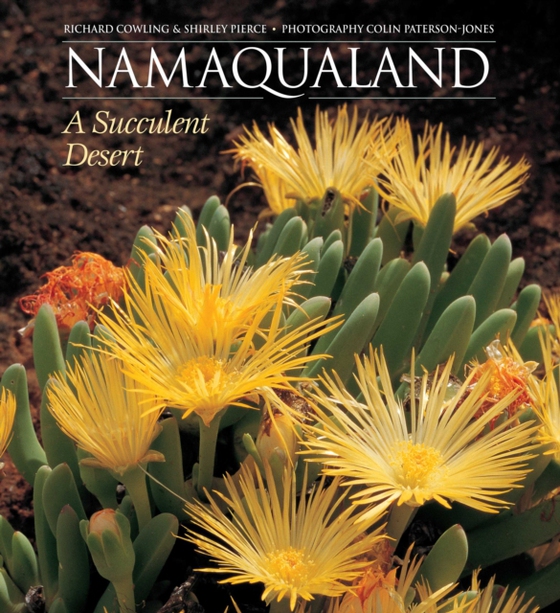 Namaqualand