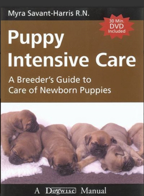 PUPPY INTENSIVE CARE