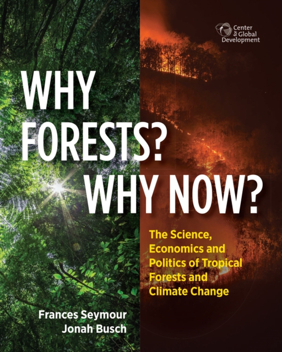 Why Forests? Why Now? (e-bog) af Busch, Jonah