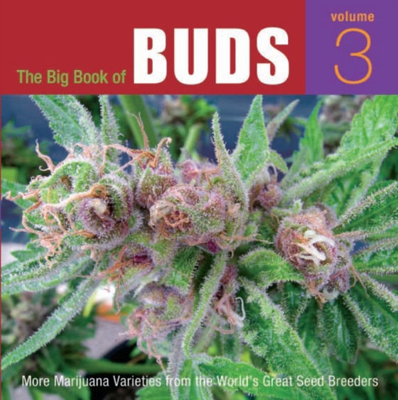 Big Book of Buds (e-bog) af -