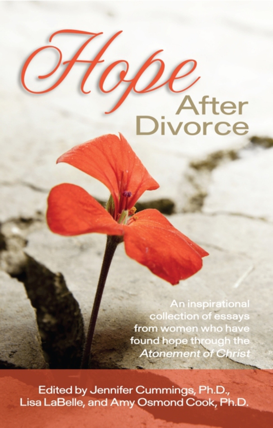 Hope After Divorce (e-bog) af Cook, Amy Osmond