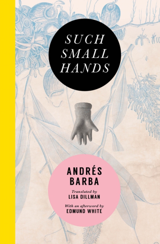 Such Small Hands (e-bog) af Barba, Andres