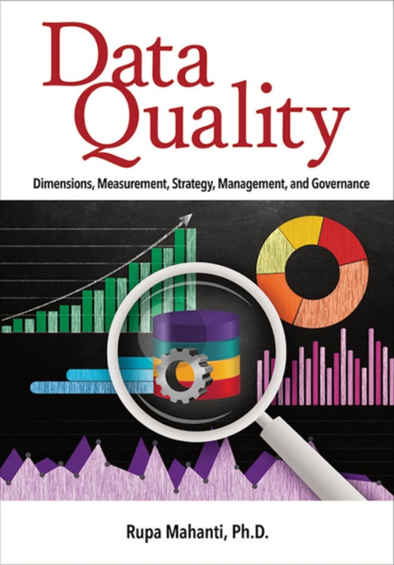 Data Quality (e-bog) af Mahanti, Rupa