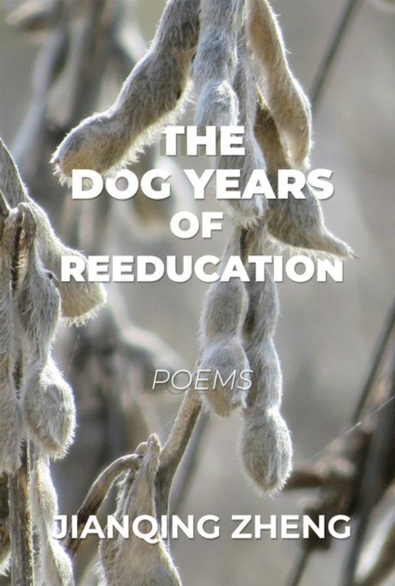 Dog Years of Reeducation (e-bog) af Zheng, Jianqing