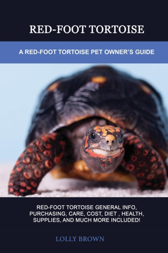 Red-Foot Tortoise