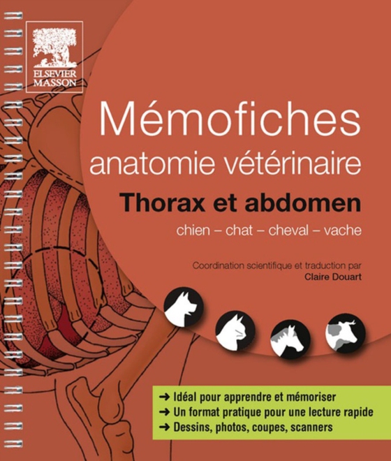 Mémofiches anatomie vétérinaire - Thorax et abdomen (e-bog) af ARSLAN, Seli