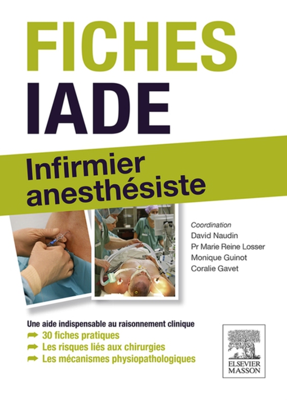 Fiches IADE (e-bog) af Naudin, David