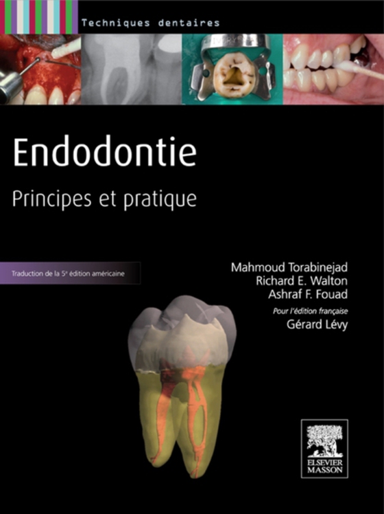 Endodontie (e-bog) af Levy, Gerard