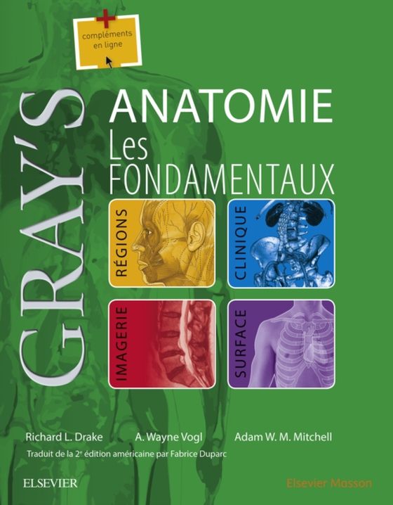 Gray's Anatomie - Les fondamentaux (e-bog) af Vogl, A. Wayne