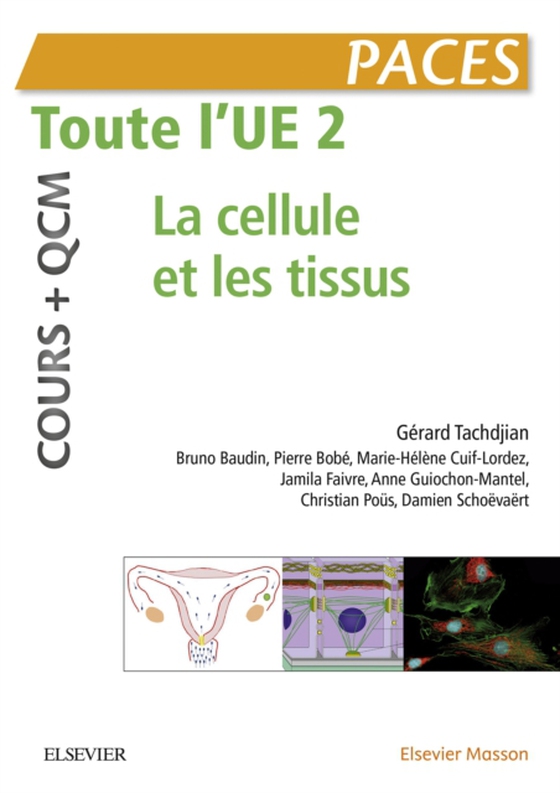 Toute l'UE 2 - Cours + QCM (e-bog) af Schoevaert, Damien