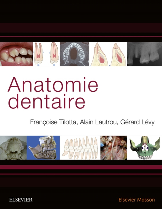 Anatomie dentaire (e-bog) af Lautrou, Alain