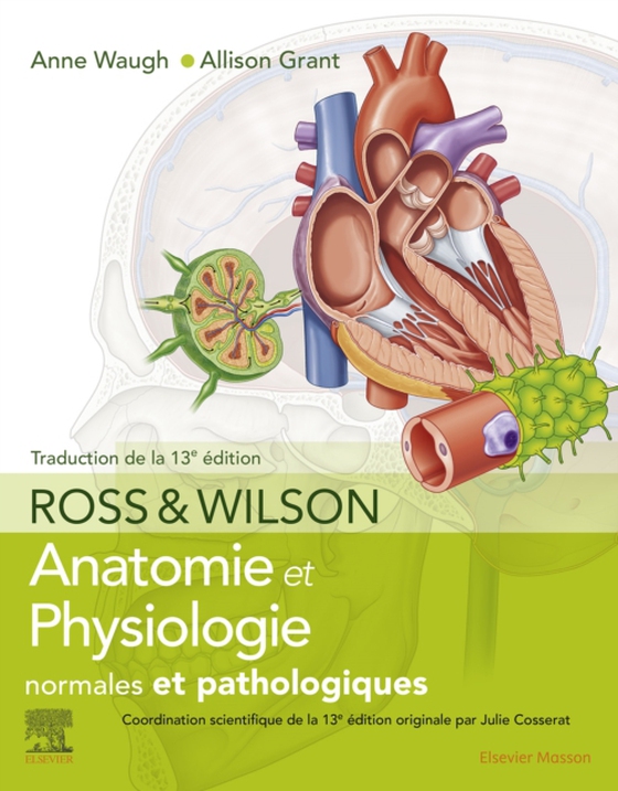 Ross et Wilson. Anatomie et physiologie normales et pathologiques (e-bog) af Grant, Allison